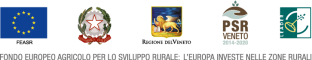 5-ISTITUZIONALI