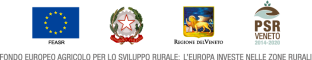 LOGO-ISTITUZIONALI
